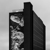 Leeds in Detail